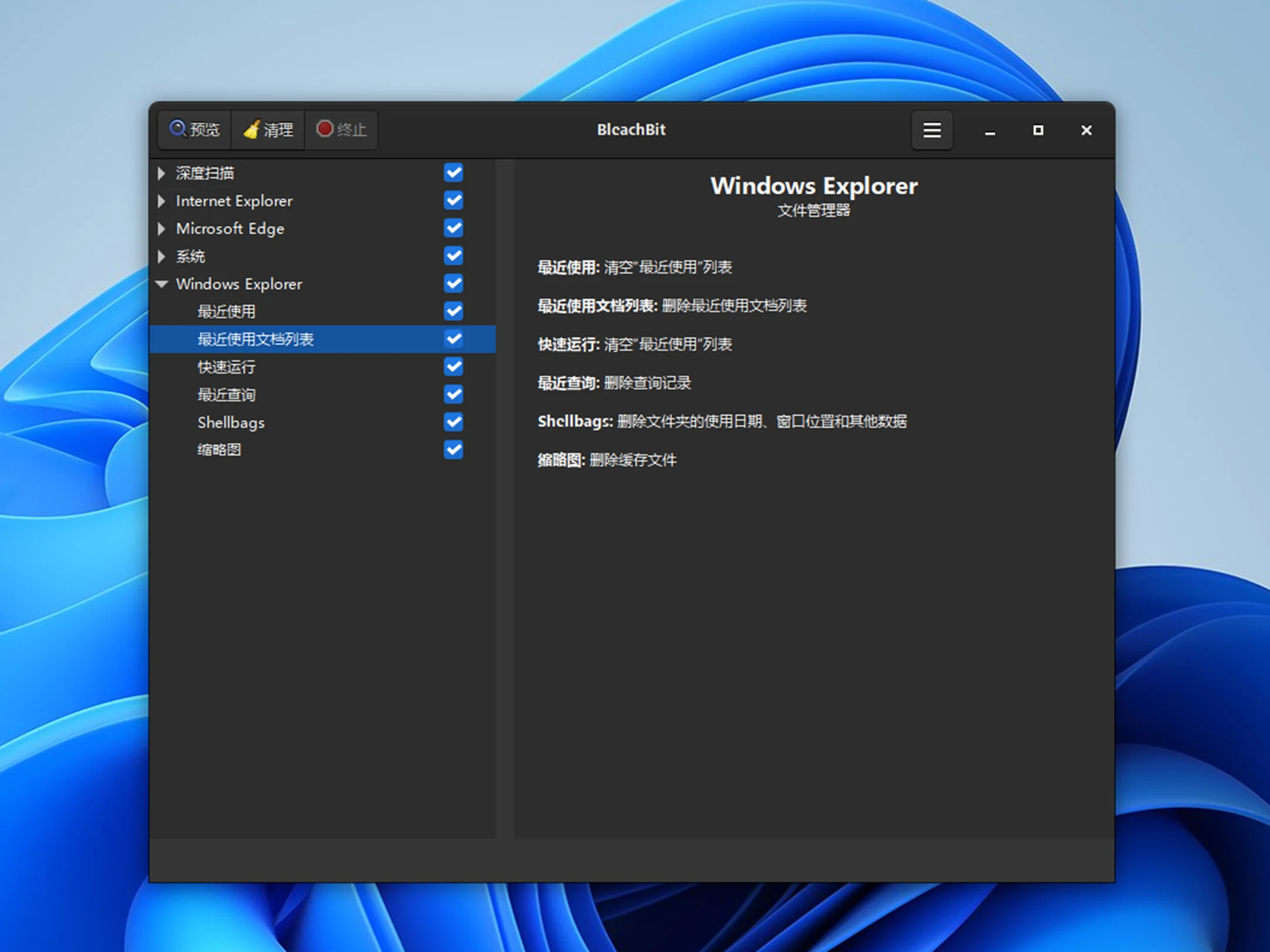 系统垃圾清理工具BleachBit V6.0.6多语便携版